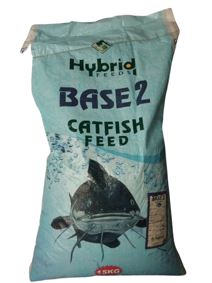base24mm