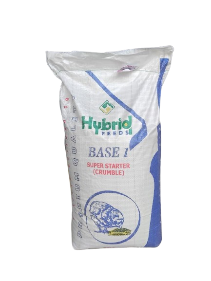 Hybridb1