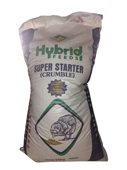 Hybridstarter